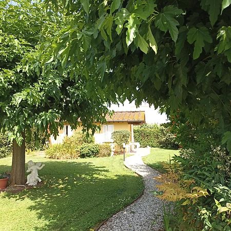 Piscina Privata Tiger Home, Toscana Capannori Exterior photo