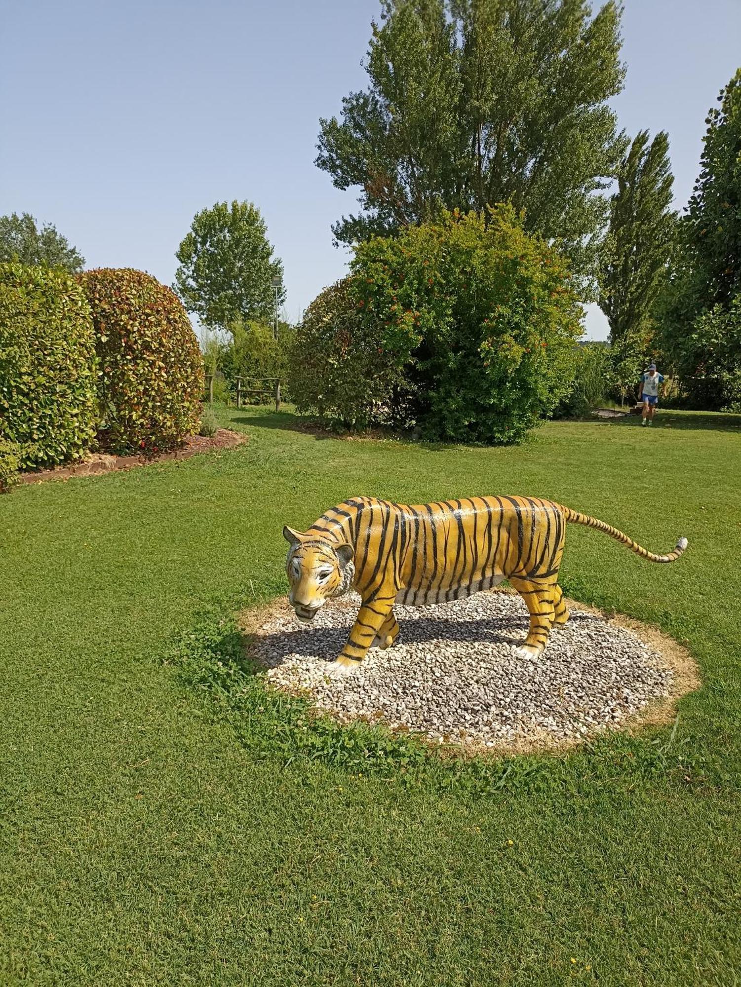 Piscina Privata Tiger Home, Toscana Capannori Exterior photo